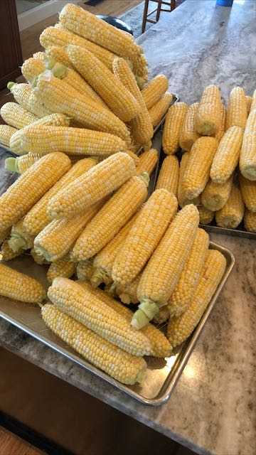 corn shucked and ready for bath